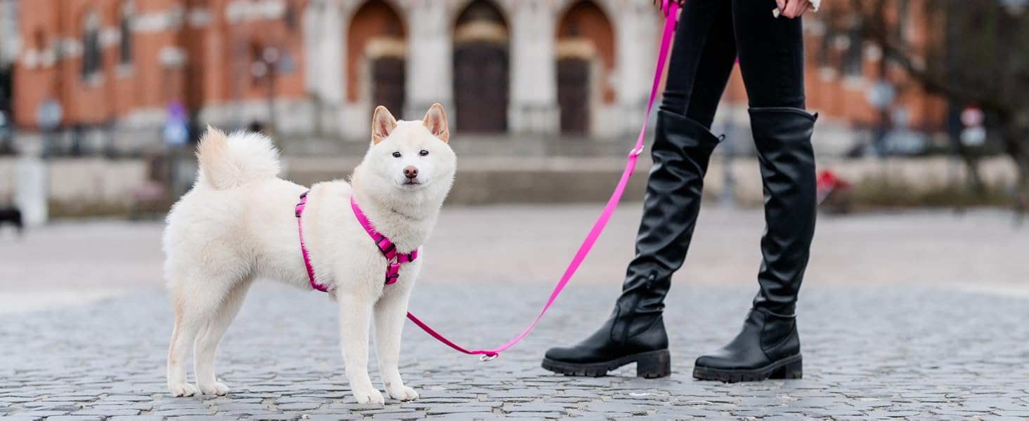 Шлейка для собак Chaba Guard середнього розміру, контрольована, протисмикова, регульована, комфортна та легка, класична Step-in, для прогулянок, розмір L, колір Морський