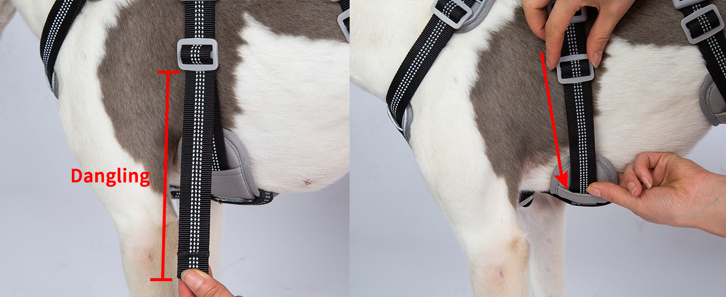 Нашийник для собак Huntboo, великі породи, анти-злам, світловідбиваючий, водонепроникний, регульований, для прогулянок та бігу (Чорний, L, упаковка з 1)