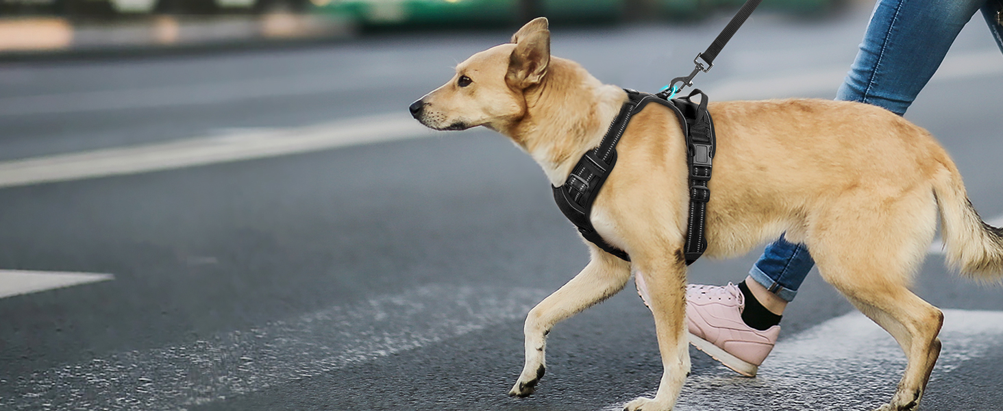 Нагрудник для собак великих порід Eagloo, чорний, розмір L, анти-тяга, з відбиваючими смугами, регульований