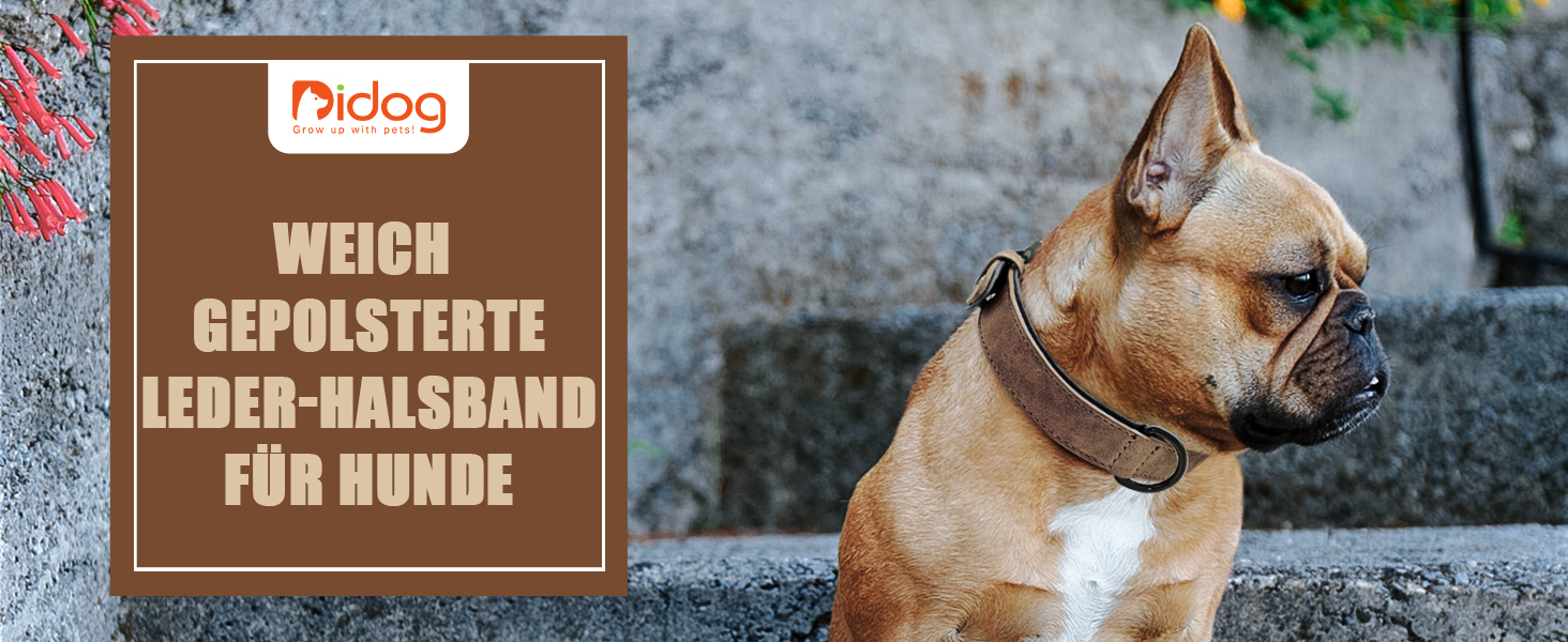 Нашийник для собак Didog з м'якої шкіри, синій, регульований, 33-43 см, 10-20 кг