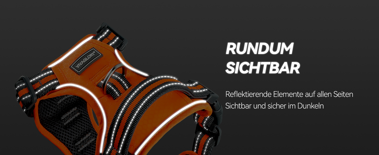 Шлейка для собак VIVAGLORY Easewalk, анти-тяга, для тренувань та прогулянок, з ручкою, анти-тяга для цуценят, XS, фіолетовий (25-51 см окружність грудної клітки)