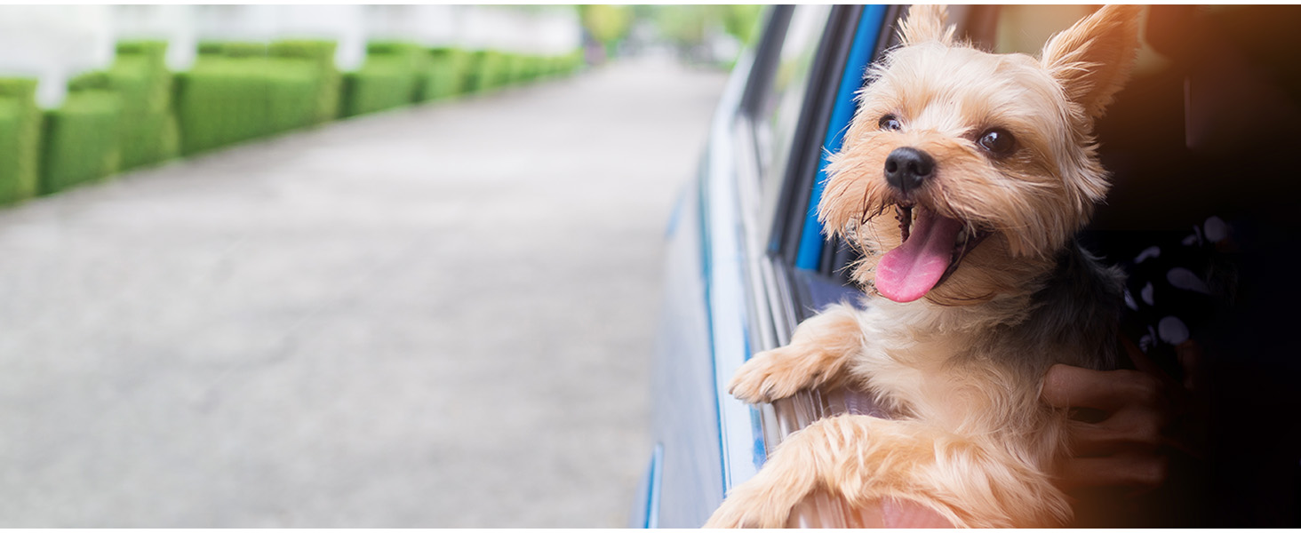 Транспортна переноска для котів та цуценят Morpilot до 5 кг, сіра, з колесами, 28 x 28 x 43 см