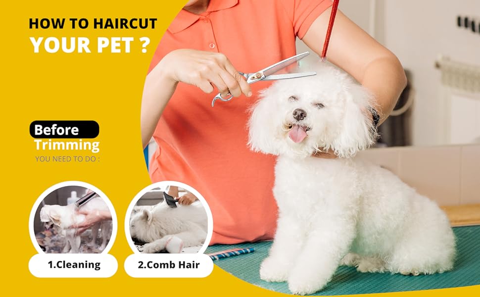 Професійна собача шерсть ножиці Dream Reach 8 дюймів - 440C нержавіюча сталь, ергономічна ручка, для собак та котів