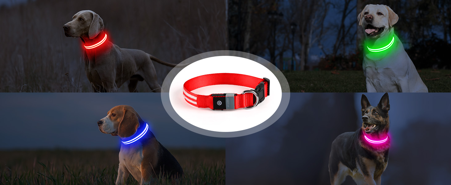 Світлодіодна нашийникова стрічка для собак, акумуляторна, 3 режими світіння, водонепроникна, зелена, L (48-60 см)