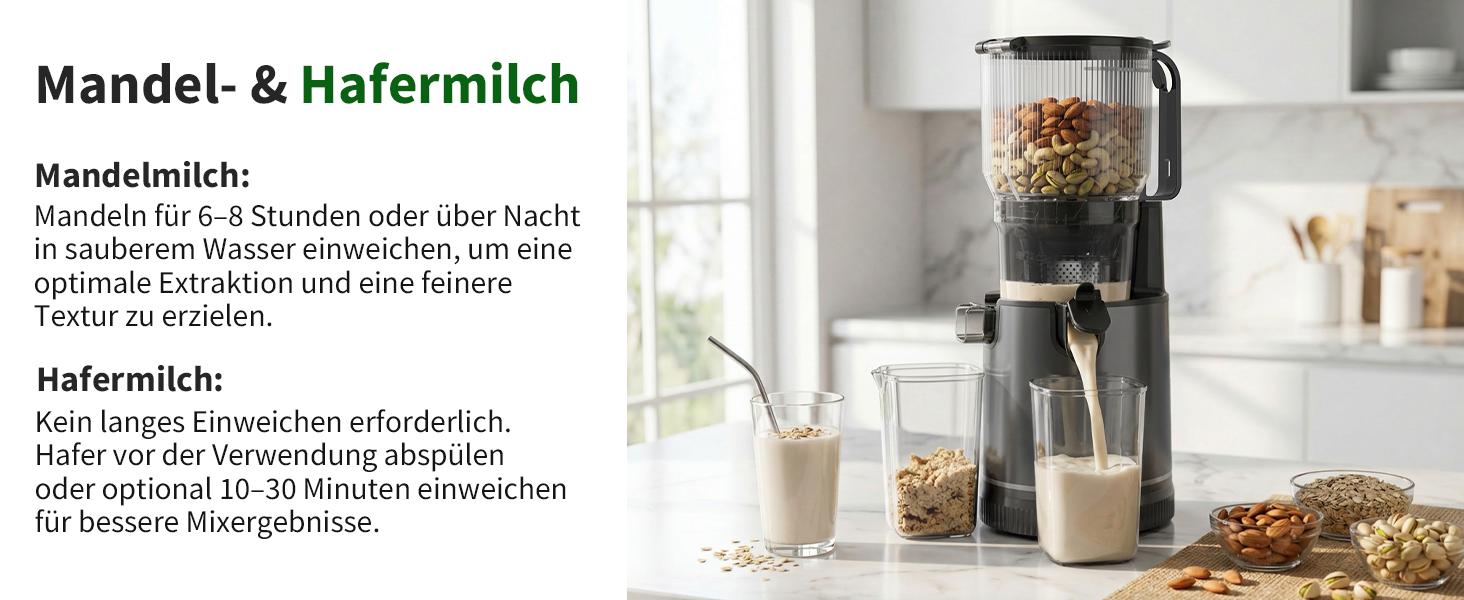 Шнекова соковижималка Entsafter Slow Juicer SJ-065, 400 Вт, XL-завантажувач 152 мм, Titanium Gray