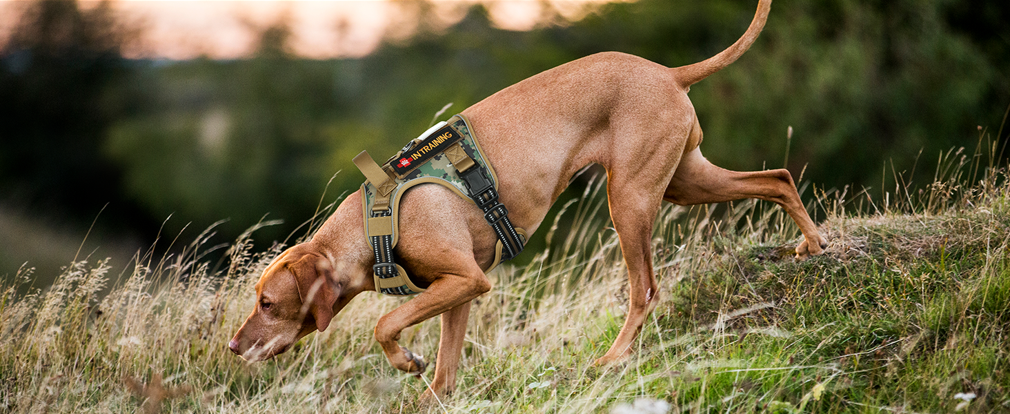 Нагрудник для собак Rabbitgoo середнього розміру, анти-тяга, регульований, з ручками, міцний, тактичний, з металевими пряжками, камуфляжний, коричневий (M, 1 шт.)