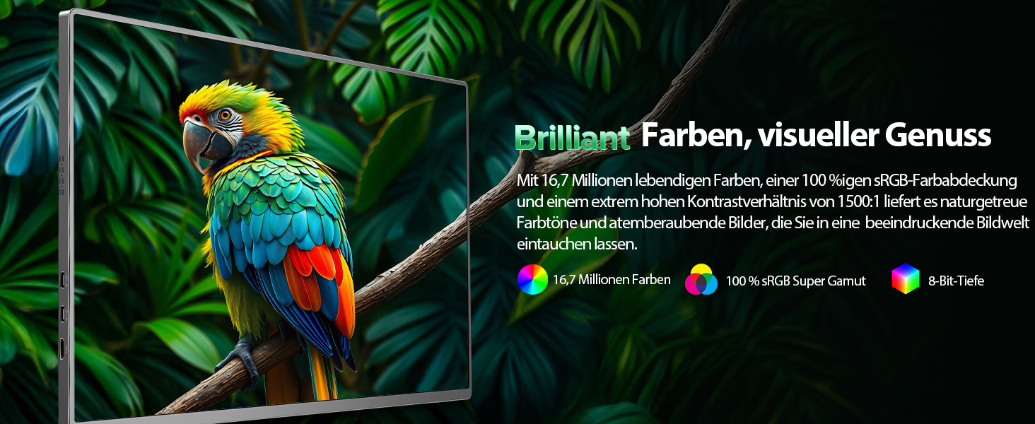 Newsoul Монітор 16