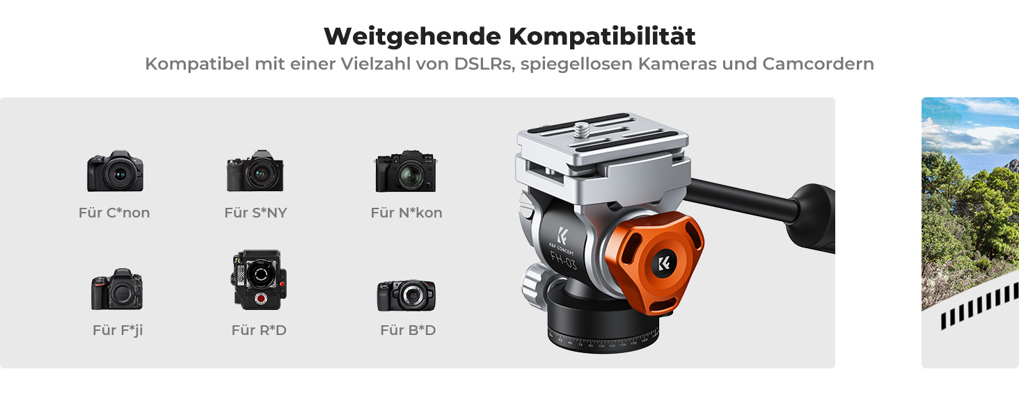 Штатив для камери K&F Concept T254A7+BH-28L, 231 см, професійний, з рідинною головкою