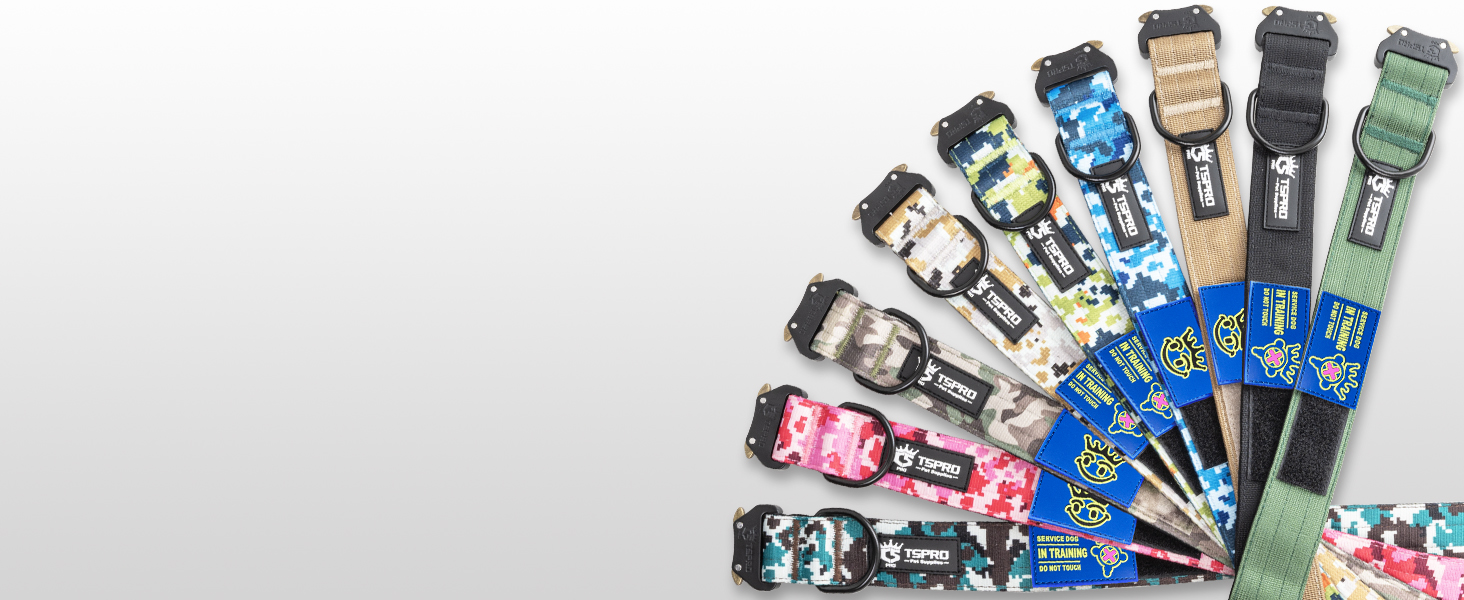 Нашийник для собак TSPRO Premium тактичний, великий, з металевою застібкою, камуфляжний синій, L (47-63.5 см)