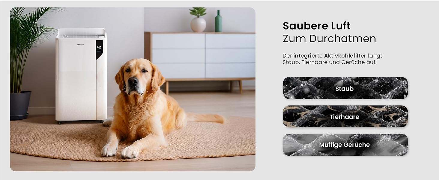 Електричний осушувач повітря ProBreeze 12L - для дому, 20 м², з таймером та датчиком вологості