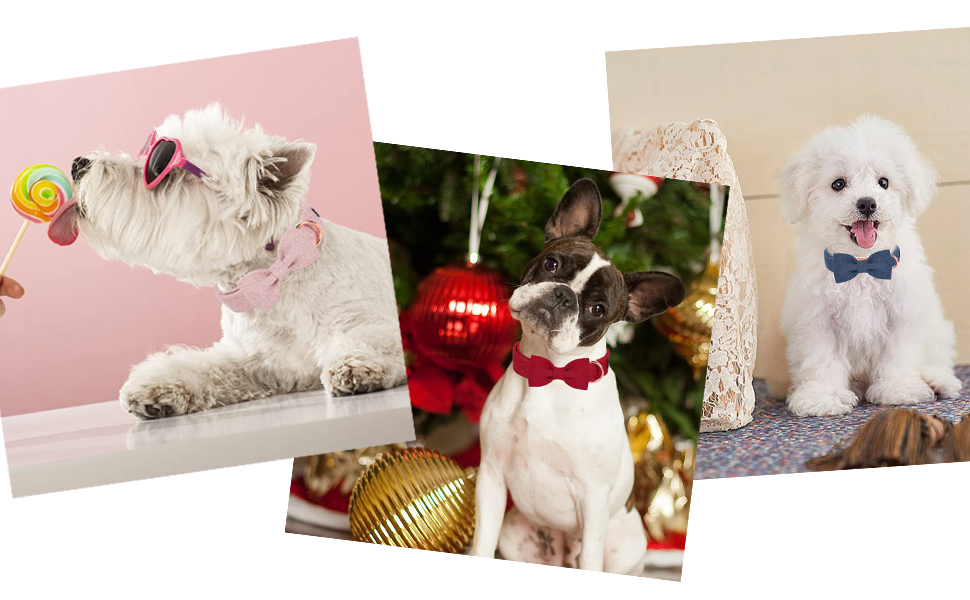 Нашийник для собак Aring Pet з бавовни лавандового кольору з бантом, регульований з металевою застібкою, для малих, середніх та великих собак