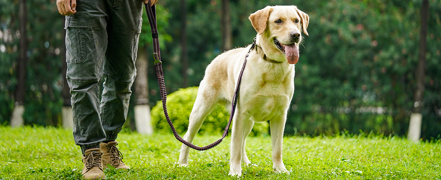 Тактична повідок для собак Joytale, еластична повідок з 2 м'якими ручками, страхувальний ремінь для автомобіля, повідок без натягу для собак середніх, великих та екстра-великих порід (1.2м-1.8м, коричнева)