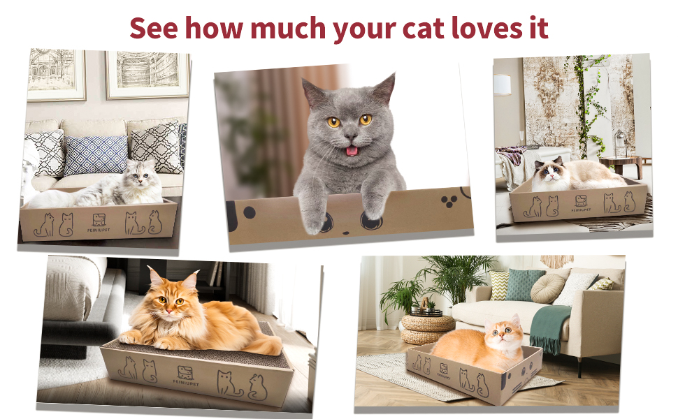 Набір когтеточок для котів (3 шт.): велика когтеточка з будиночком, довговічна двостороння гофрокартонна поверхня, іграшка для дому, безпечна та чиста