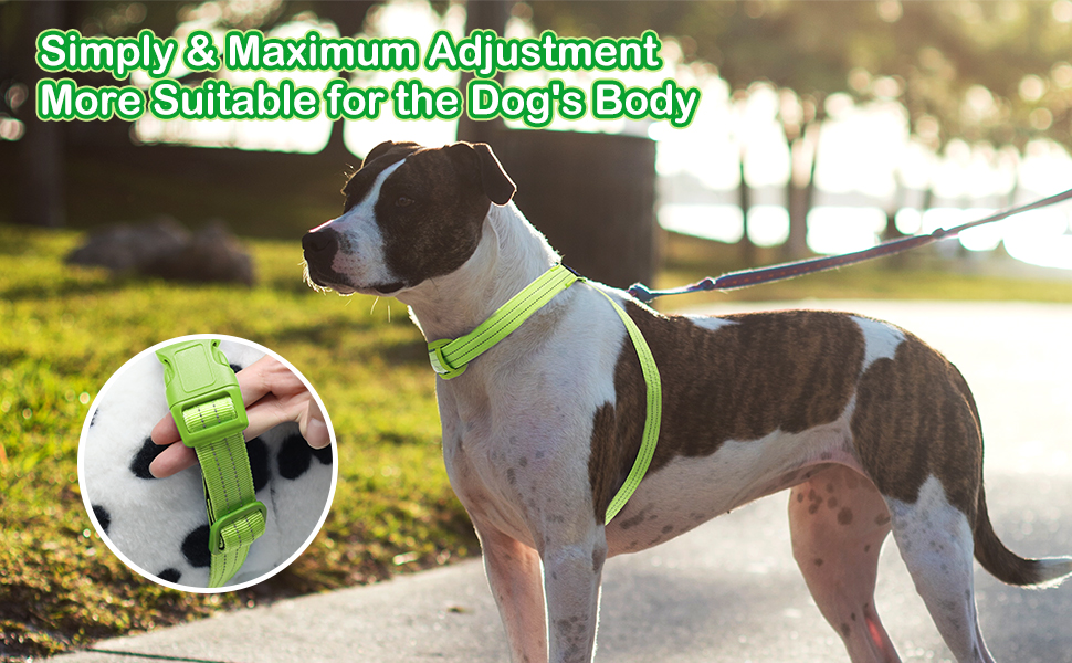 Світлодіодне обіднє повіддя для собак, світловідбиваючий, м'який, регульований, перезаряджуваний (зелений, середній)