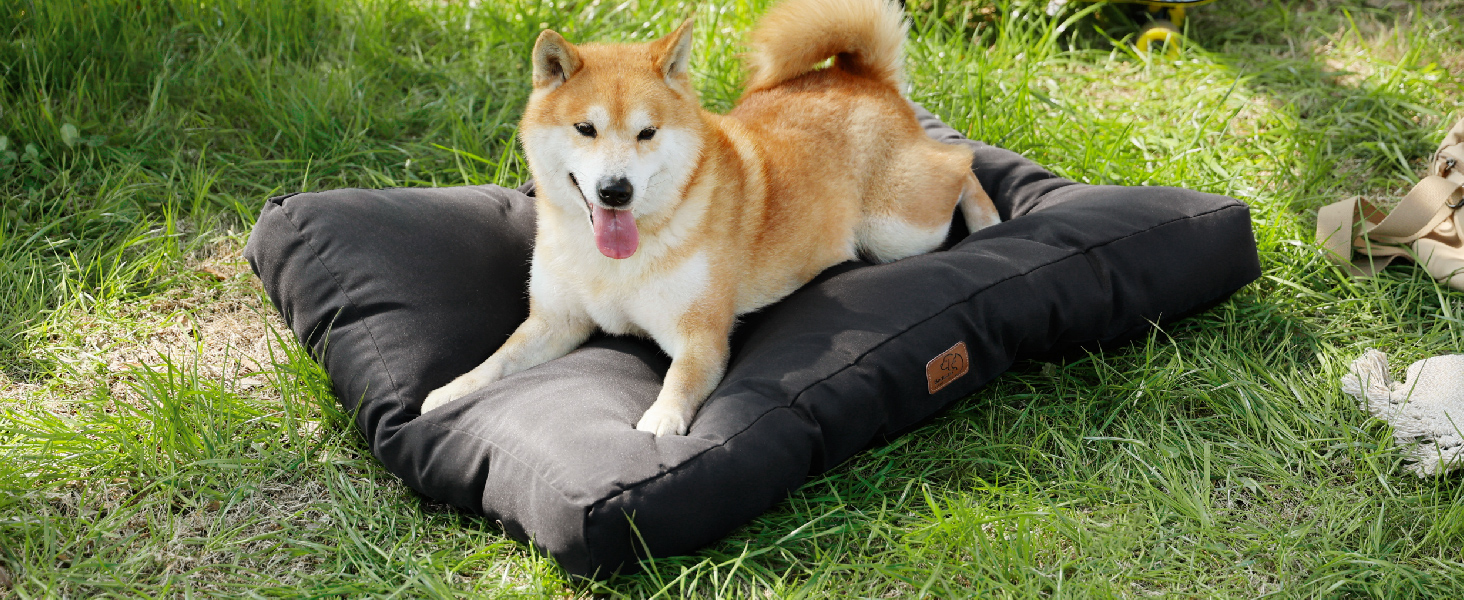 Килимок для собак BEDSURE 76x50 см - м'який, миючий, для маленьких та середніх собак, 10 см заввишки (чорний)