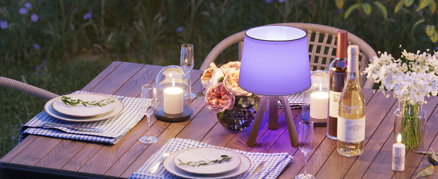 LED-лампа Egobasic настільна бездротова з пультом, таймером, регулюванням яскравості, акумулятором, змінним кольором, для спальні, кухні, вітальні (тринога з харчової смоли)