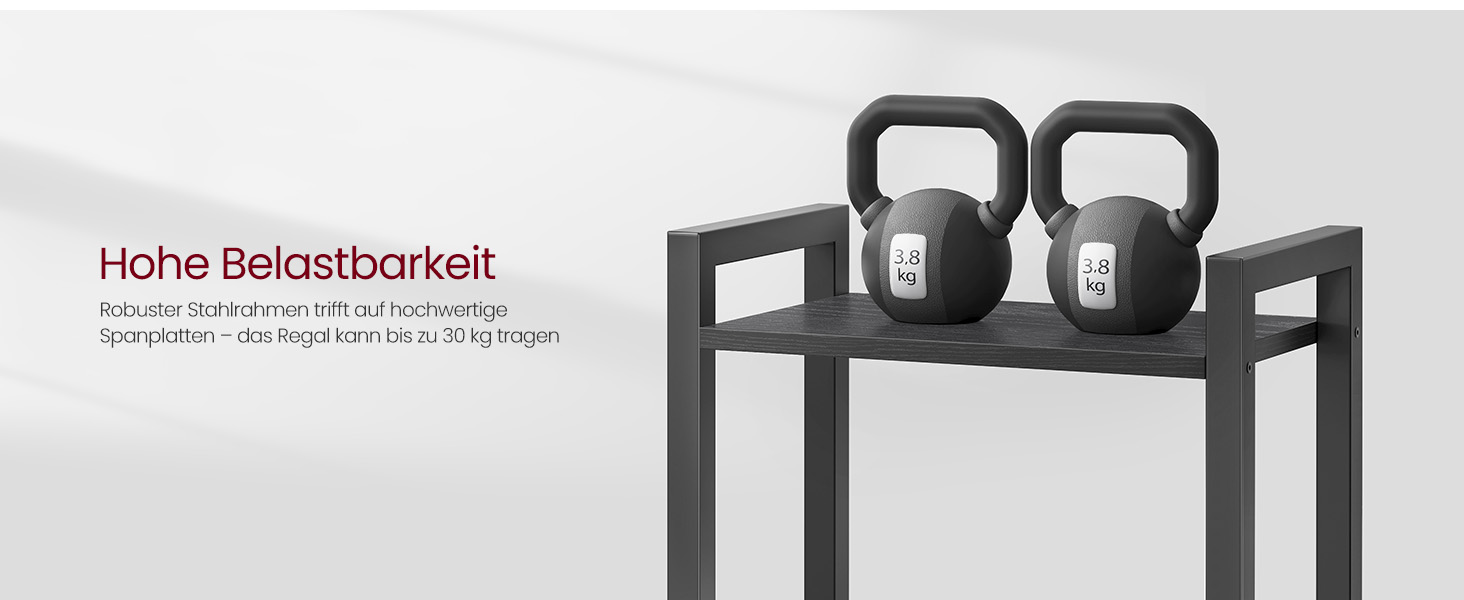 VASAGLE 4-Tier Regal mit offener Ablage