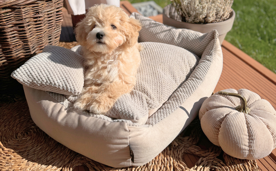 М'яке ліжко для собак 4L Textil Teo, корзина для собак середнього розміру, ліжко-подушка, 60x40 см, бежеве