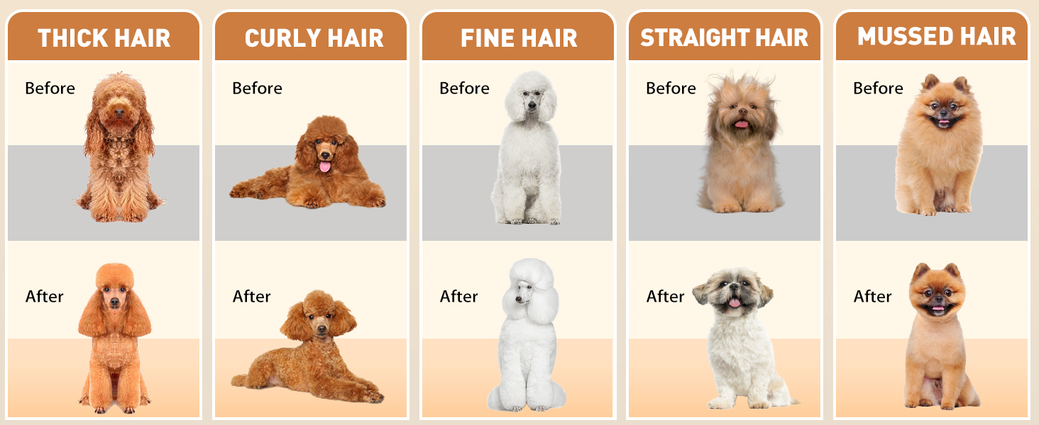 Машинка для стрижки собак і котів, професійна, з 4 насадками, потужний мотор, для тіла, обличчя, вух, лап (срібна)