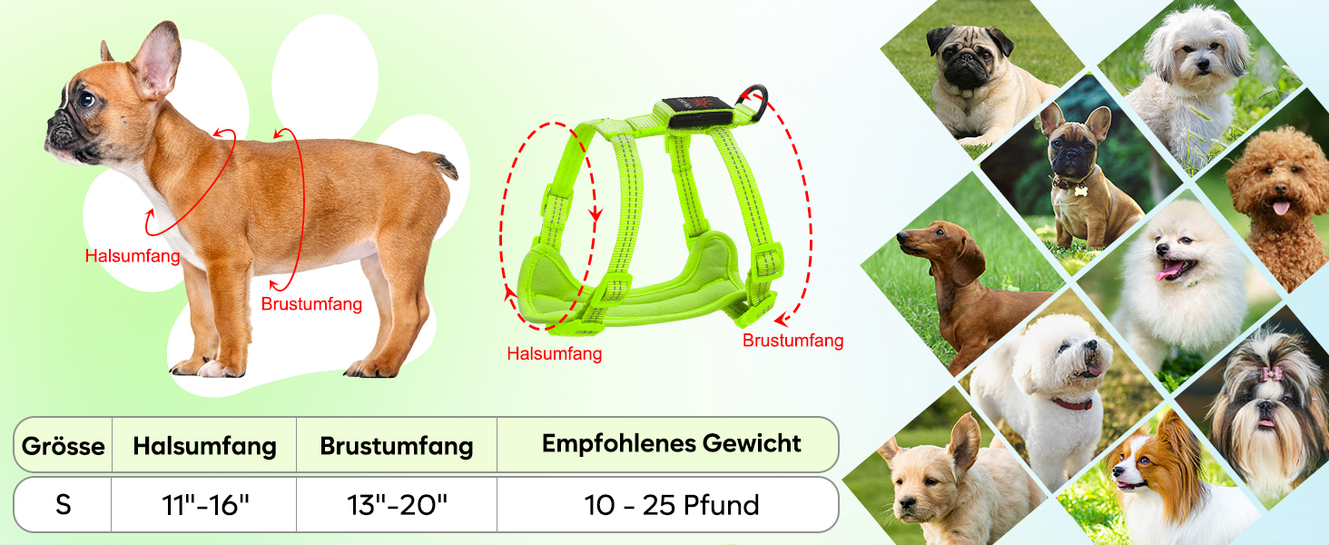 Світловідбиваючий LED нашийник для собак, USB-C, для маленьких собак, XS-S, для прогулянок вночі