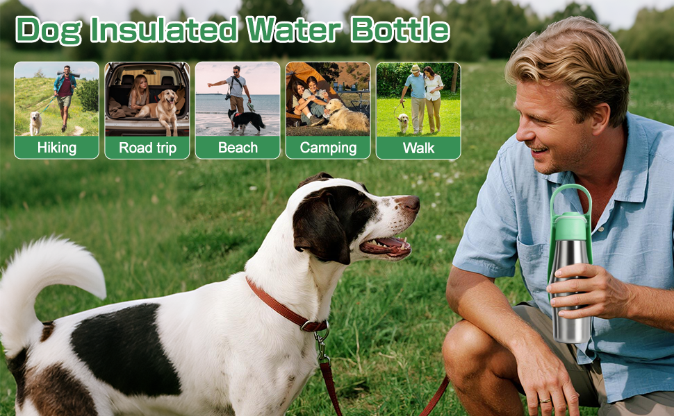 Водяна пляшка для собак на прогулянці: витривала, з нержавіючої сталі, 750 мл, з подвійними стінками, вакуумна ізоляція, не протікає