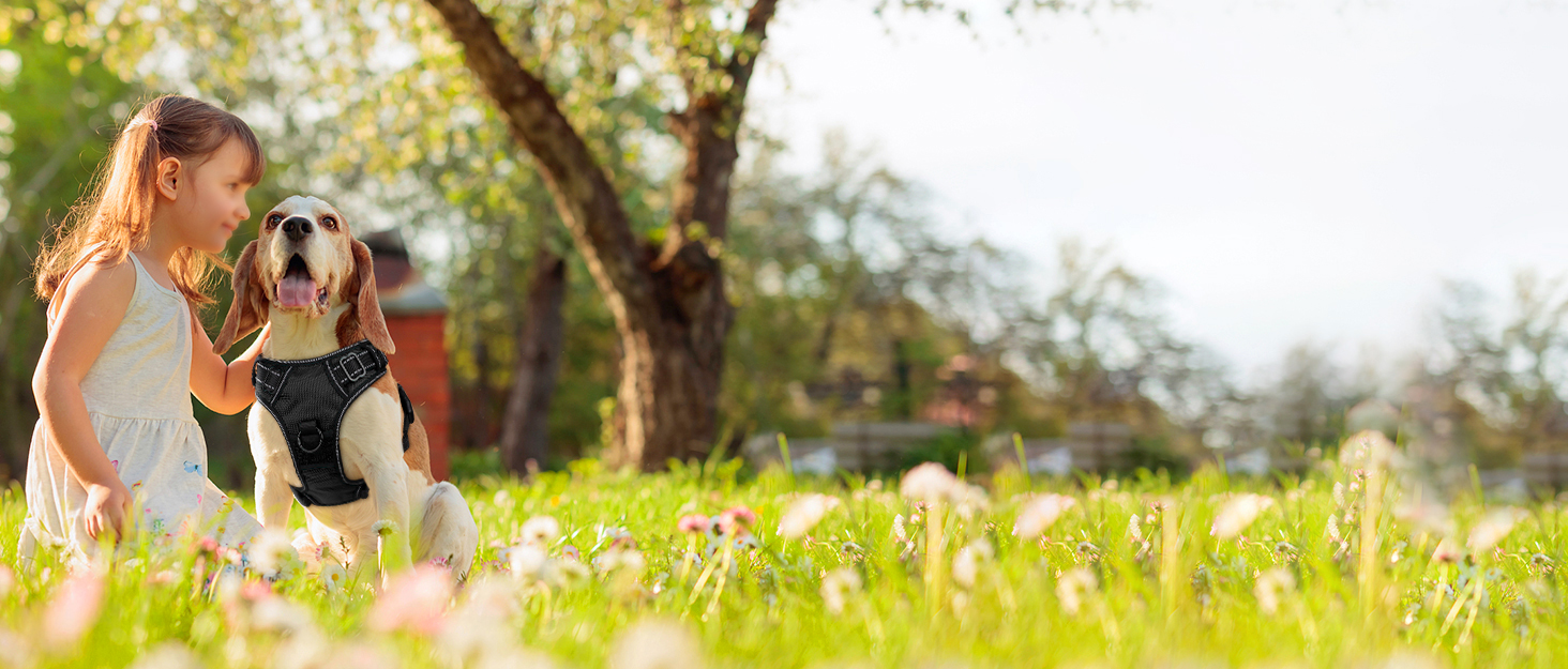 Шлейка для собак Joytale, середнього розміру, світловідбиваюча, дихаюча, з ручкою для контролю та тренувань, сіра, M (1 шт.)