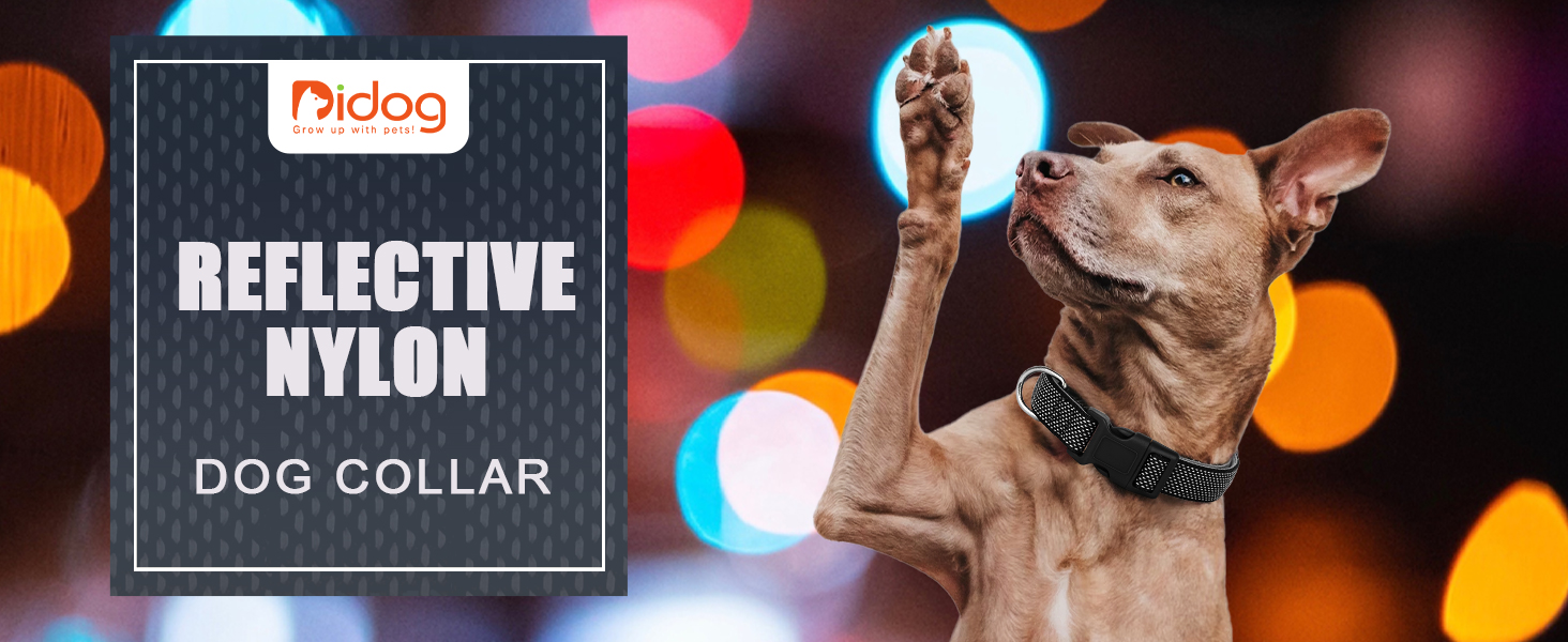 Відбиваючий нашийник для собак Didog з пряжкою, регульований, м'який неопрен, з підкладкою, нейлон, для маленьких, середніх та великих собак, зелений, L: обхват шиї 33-56 см