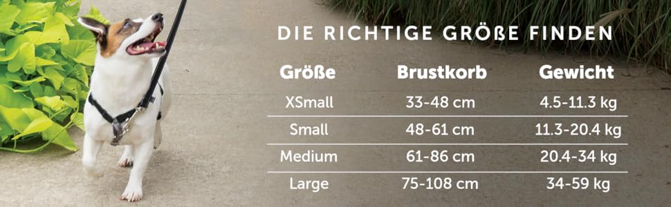 Нашийник-шлейка PetSafe 3-в-1 для собак, з анти-тягнучим кільцем та ременем для авто, розмір L, чорний