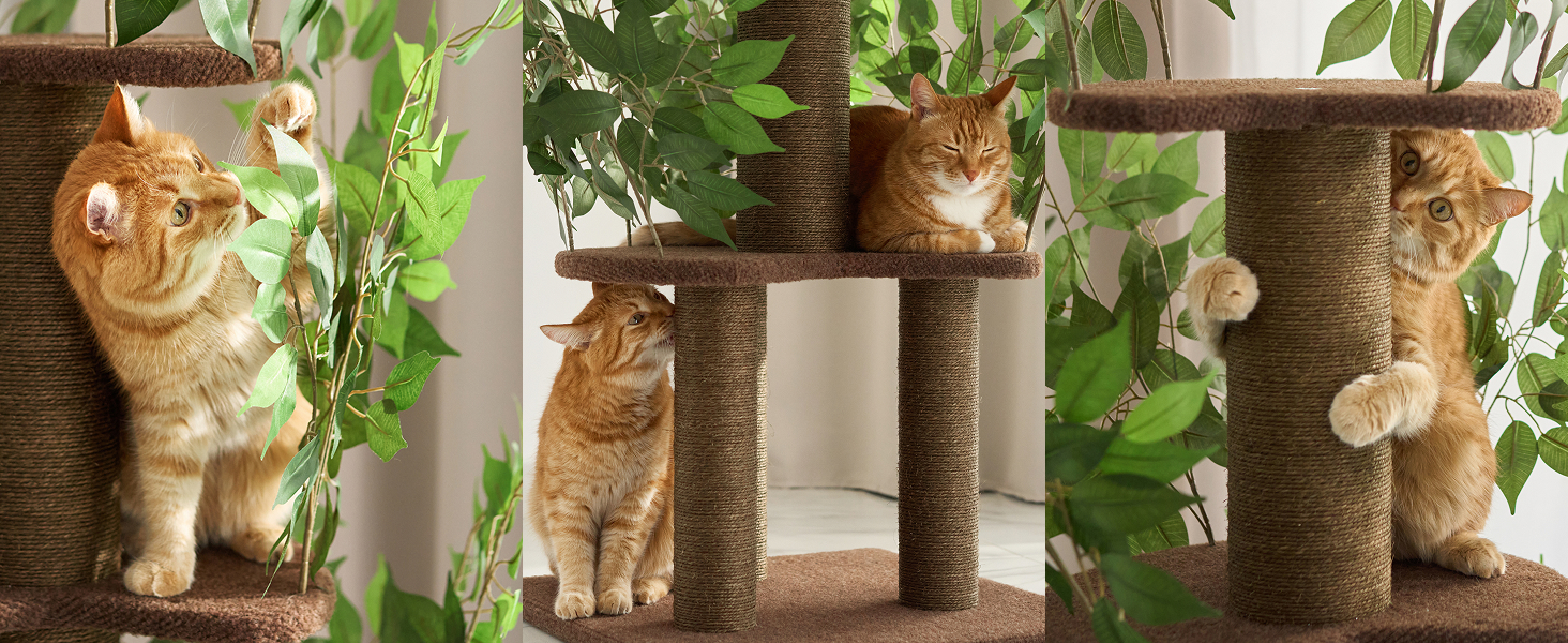 Дерево для котів з листям – Стабільний та компактний – 4 поверхні для дряпання та 3 стовпчики – Ідеально для лазіння, ховання та сну – Легка збірка – Безпечний та довговічний cat tree з натуральних матеріалів