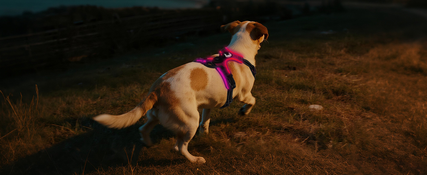 Світловідбиваючий нашийник для собак Joytale з LED, для середніх собак, не тягне, з ручкою, регульований, для нічних прогулянок, рожевий, розмір M (1 шт.)