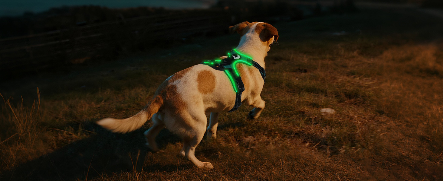 Світловідбиваючий нашийник для собак Joytale, зарядний, середнього розміру, без перетягування, з ручкою, світловідбиваючий, з м'якою підкладкою, регульований, для нічних прогулянок, чорно-синій, M (1 шт.)