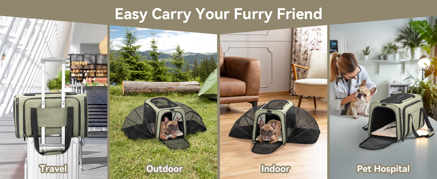 Транспортна сумка для котів та собак Petsfit, розширювана переноска з плечовим ременем, сумка-переноска для собак та котів, авіапереноска, оксфордська тканина, S/Зелений/Двосторонній Зелений L/Двосторонній