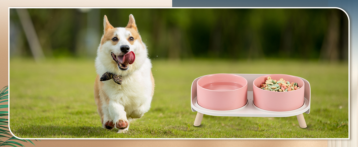 Набір мисок для собак з кераміки - 2 шт. з антиковзним підставкою - годівниця для собак та котів, рожевий колір