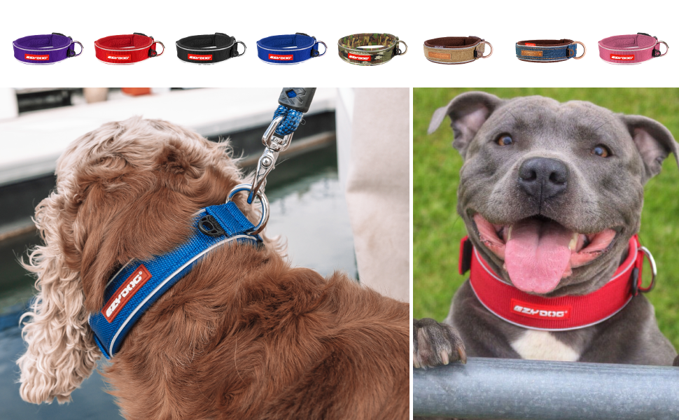 Нашийник для собак EzyDog Camo (M, 39-44 см) - неопреновий, водонепроникний, світловідбиваючий