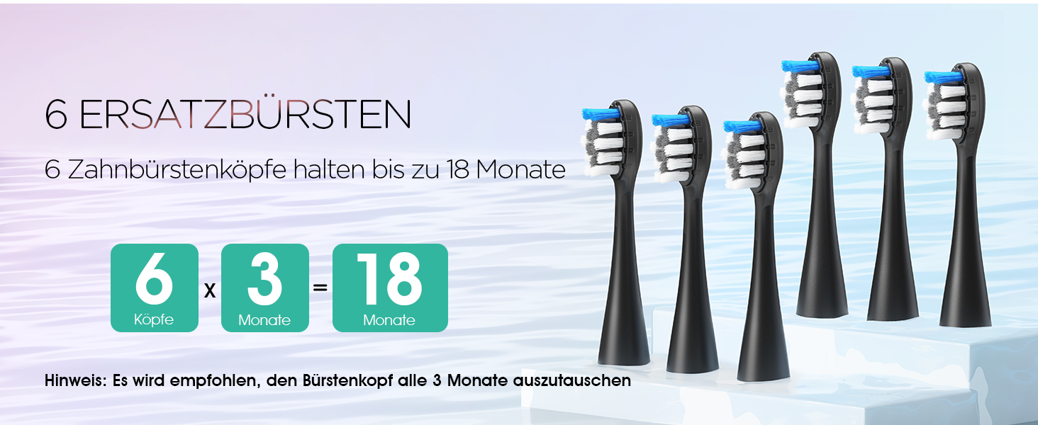 Електрична звукова зубна щітка Ultraschall ET110 (Чорна) - 41000 VPM, 70 днів роботи, 6 насадок, таймер, IPX7