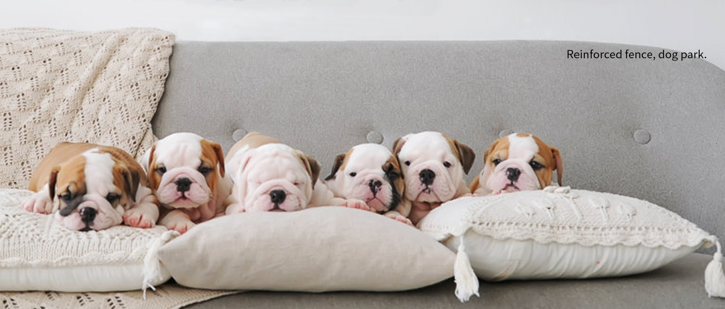 Вольєр для цуценят Gupamiga, розкладний вольєр для собак з дверима, вольєр для цуценят для квартири, міцний та гладкий, просте встановлення, білий (178 x 178 см), 8 штук (80 см)