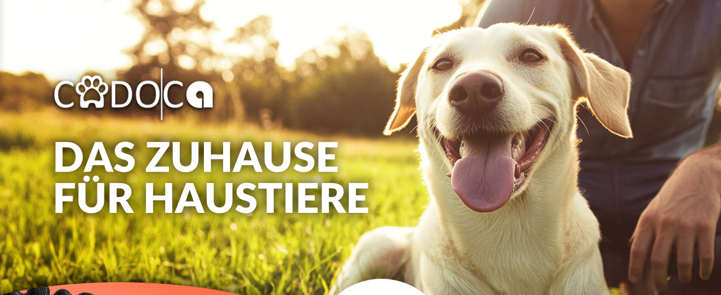 Рюкзак для тварин до 20 кг, регульовані ремені, складаний, короткий поводок, чорний. Ідеально для собак та котів