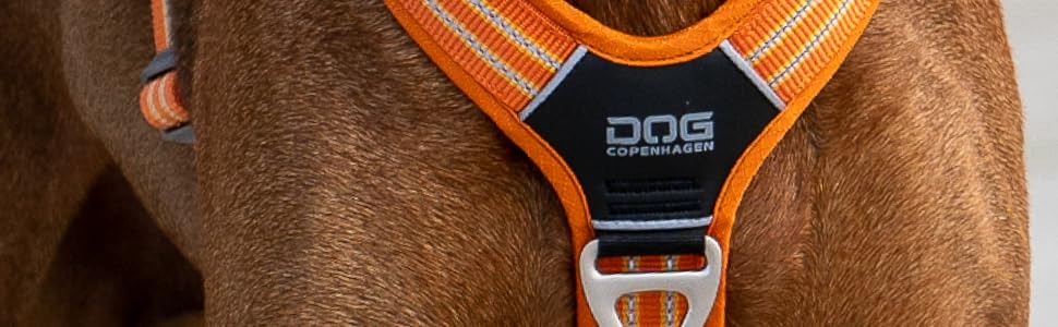 Нашийник для собак DOG Copenhagen Comfort Walk Pro, Wild Rose, розмір M