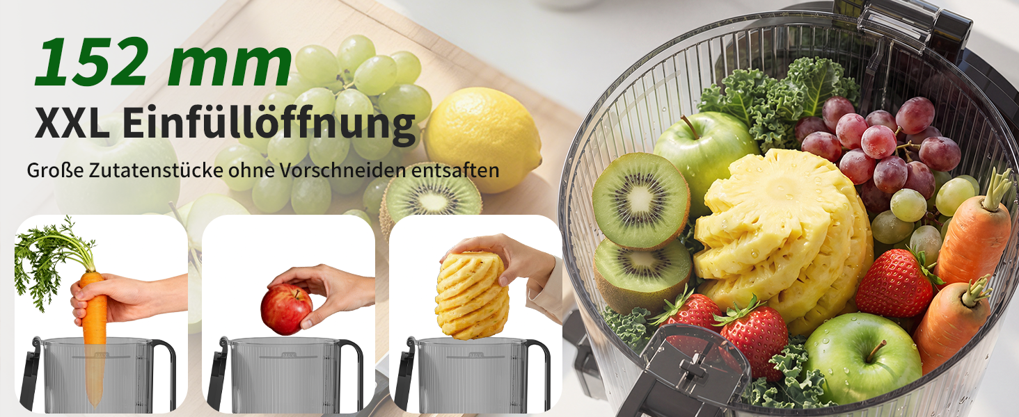 Шнекова соковижималка Entsafter Slow Juicer SJ-065, 400 Вт, XL-завантажувач 152 мм, Titanium Gray