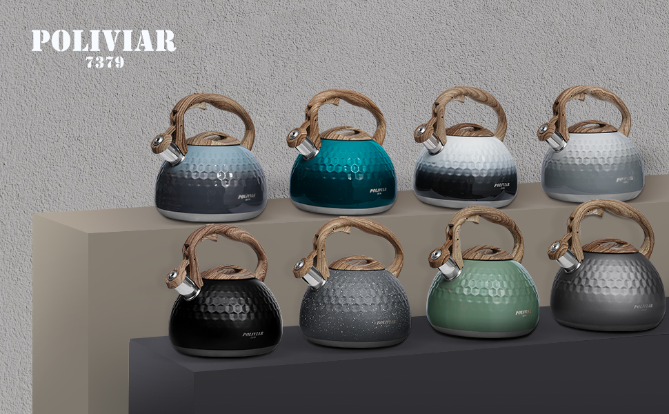 Чайник Poliviar Teekessel Diamant-Grün з нержавіючої сталі, стійкий до корозії та високих температур, підходить для всіх типів плит (JX2020-RH30-DE)