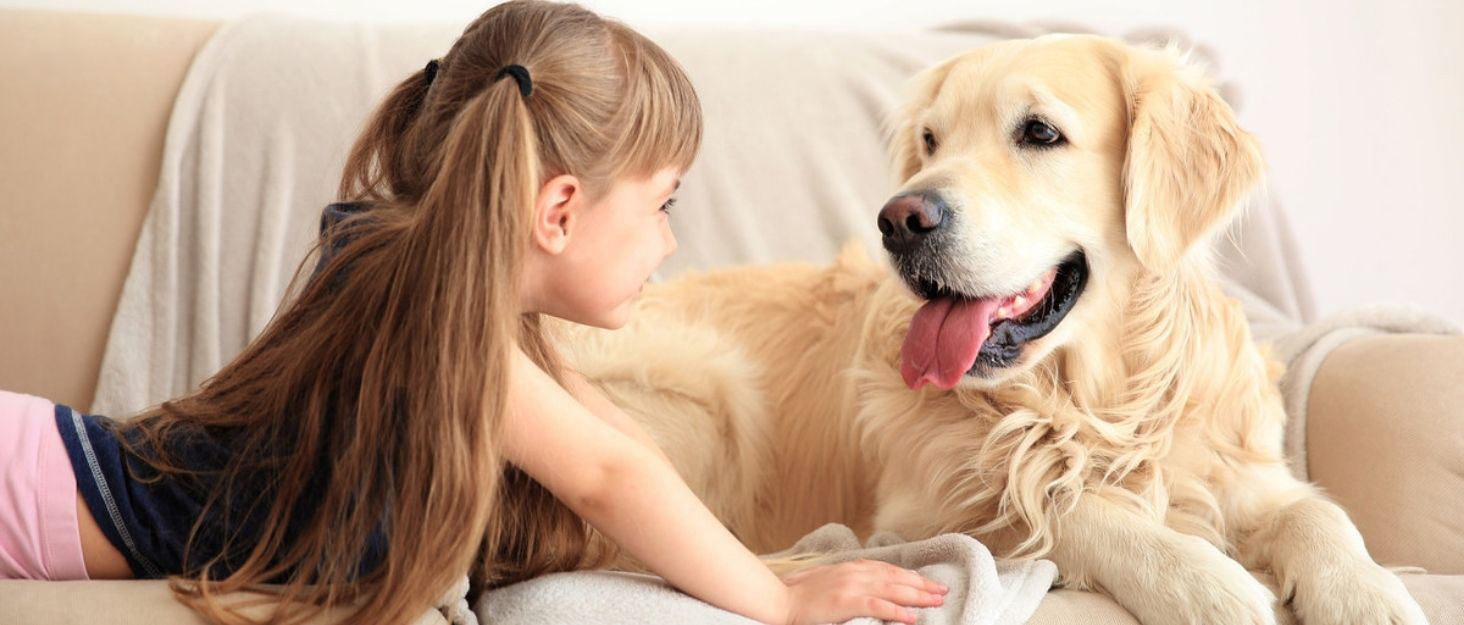 Набір для догляду за тваринами: професійна машинка для стрижки собак та котів, безшумна, акумуляторна, рожева