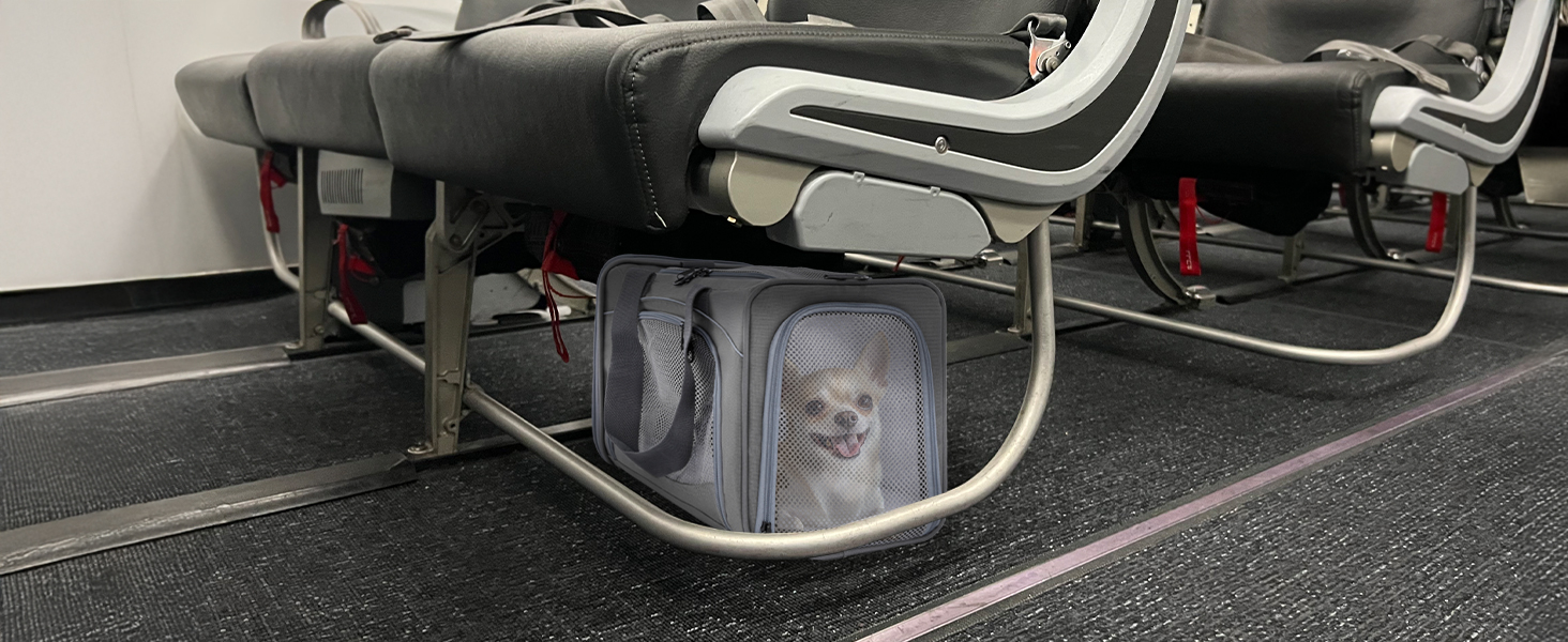 Транспортна сумка Petsfit для котів та собак | Авіапереліт, авто, поїзд | Сіра, Small