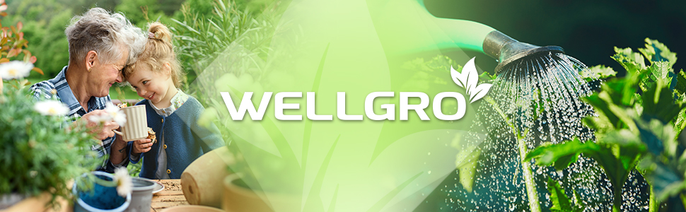 WELLGRO Standaschenbecher з нержавіючої сталі 2в1 для вулиці: попільничка та сміттєвий бак сірого кольору. Великий попільничник для тераси, входу та комерційних приміщень, стійкий до погодних умов.