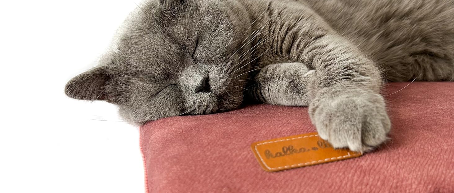 М'яке ліжко-подушка для собак та котів. Зміцнена, м'яка, безпечна для тварин. Розмір 60x40 см, колір вишня (XS)