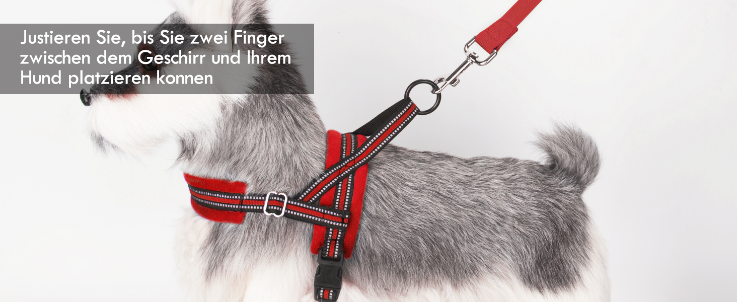 Шлейка для собак SlowTon з повідком, анти-тягнуча, регульована, світловідбиваюча, для цуценят, малих та середніх собак, безпечна, запобігає задушливості, зелена