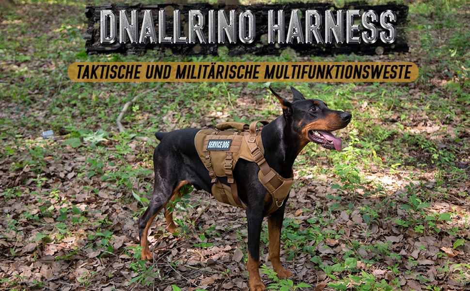 Тактичне нашийник для собак, підйомне спорядження для середніх та великих собак, Air Mesh регульований нашийник для службових собак з металевою застібкою 39g для тренувань та прогулянок (Помаранчевий, M(Окружність шиї: 36-53см, Окружність грудей: 56-74см))