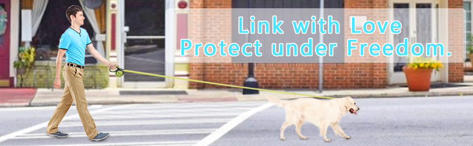 Висувна поводок для собак, 5 м, міцний поводок-рулетка з неслизькою ручкою та кнопкою швидкого гальмування, для великих собак до 50 кг, (зелений)