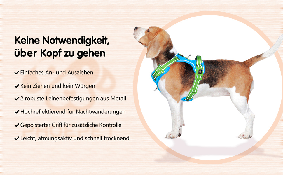 Шлейка для собак PHOEPET без натягу, світловідбиваюча, регульована, з ручкою для тренувань + 2 гачки для повірця + 3 застібки-клипси + 4 ковзні пряжки (XL, Синя база та Зелені ремінці)