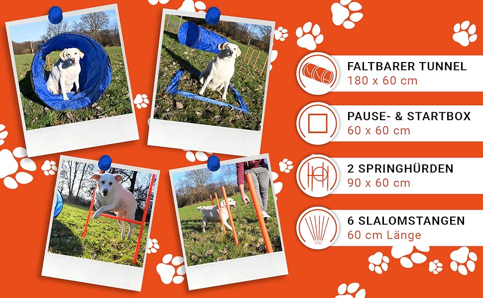Набір для аджиліті для собак [11-TLG.] - універсальний набір з перешкодами, тунелем, слаломом та іншим для тренування та аджиліті собак - з аксесуарами та сумкою для транспортування, великий розмір