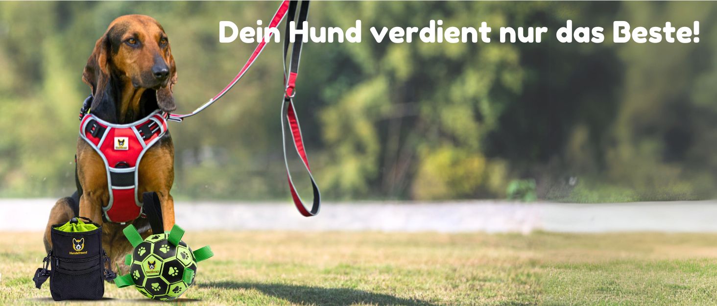 Набір ножиць для грумінгу собак: 2 шт. з нержавіючої сталі з округлими кінцями